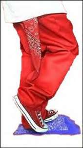 bloodz legs